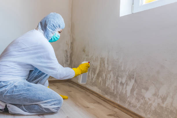 Licensed Mold Testing service in Westminster, MD - WQB Mold Removal