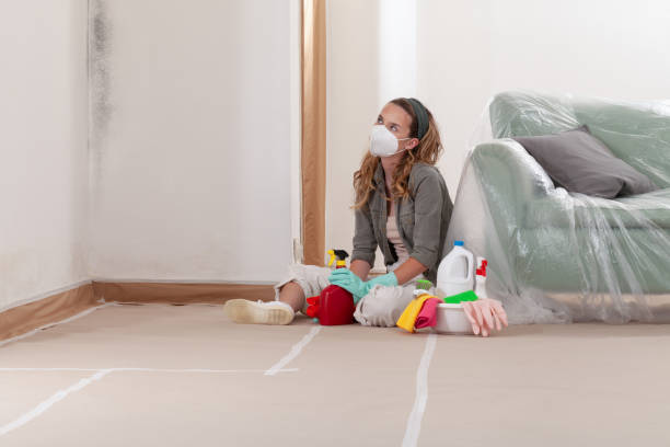 Reliable Mold Testing contractor in Westminster, MD by WQB Mold Removal
